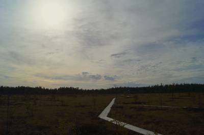 Прогулка в Соомаа. Meiekose ja Ingatsi õpperajad.