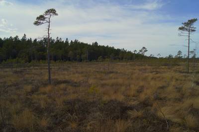 Прогулка в Соомаа. Meiekose ja Ingatsi õpperajad.