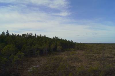 Прогулка в Соомаа. Meiekose ja Ingatsi õpperajad.