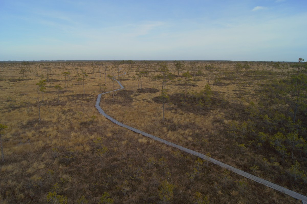 Верховое болото. Прогулка в Соомаа. Meiekose ja Ingatsi õpperajad.