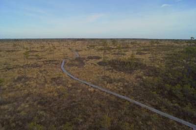 Прогулка в Соомаа. Meiekose ja Ingatsi õpperajad.