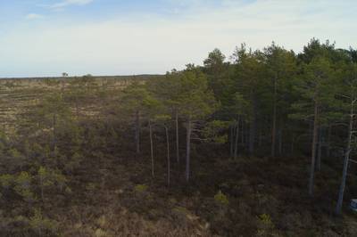 Прогулка в Соомаа. Meiekose ja Ingatsi õpperajad.