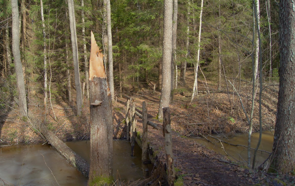  Прогулка в Соомаа. Meiekose ja Ingatsi õpperajad.
