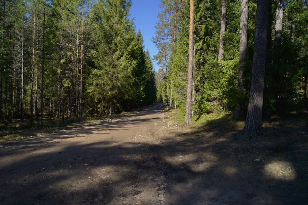  Место для костра Kabelimäe.