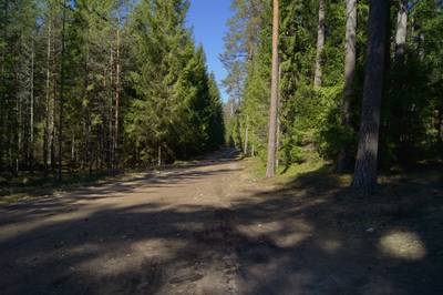 Место для костра Kabelimäe.  Kabelimäe lõkkekoht.