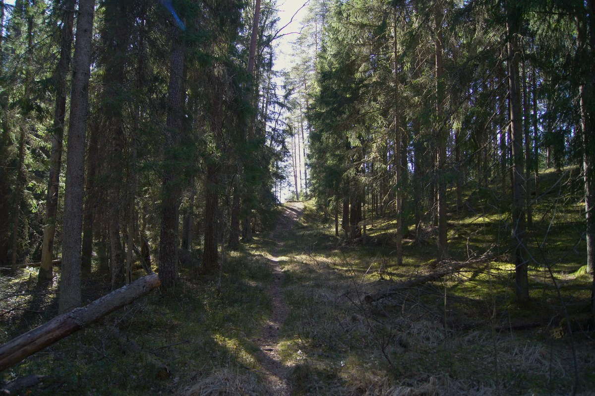  Место для костра Kabelimäe.