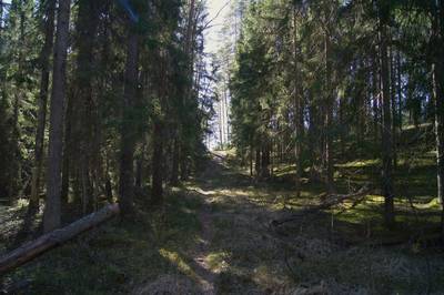 Место для костра Kabelimäe.  Kabelimäe lõkkekoht.