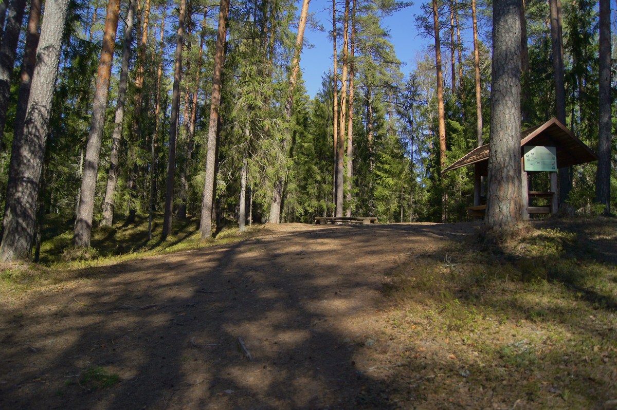  Место для костра Kabelimäe.