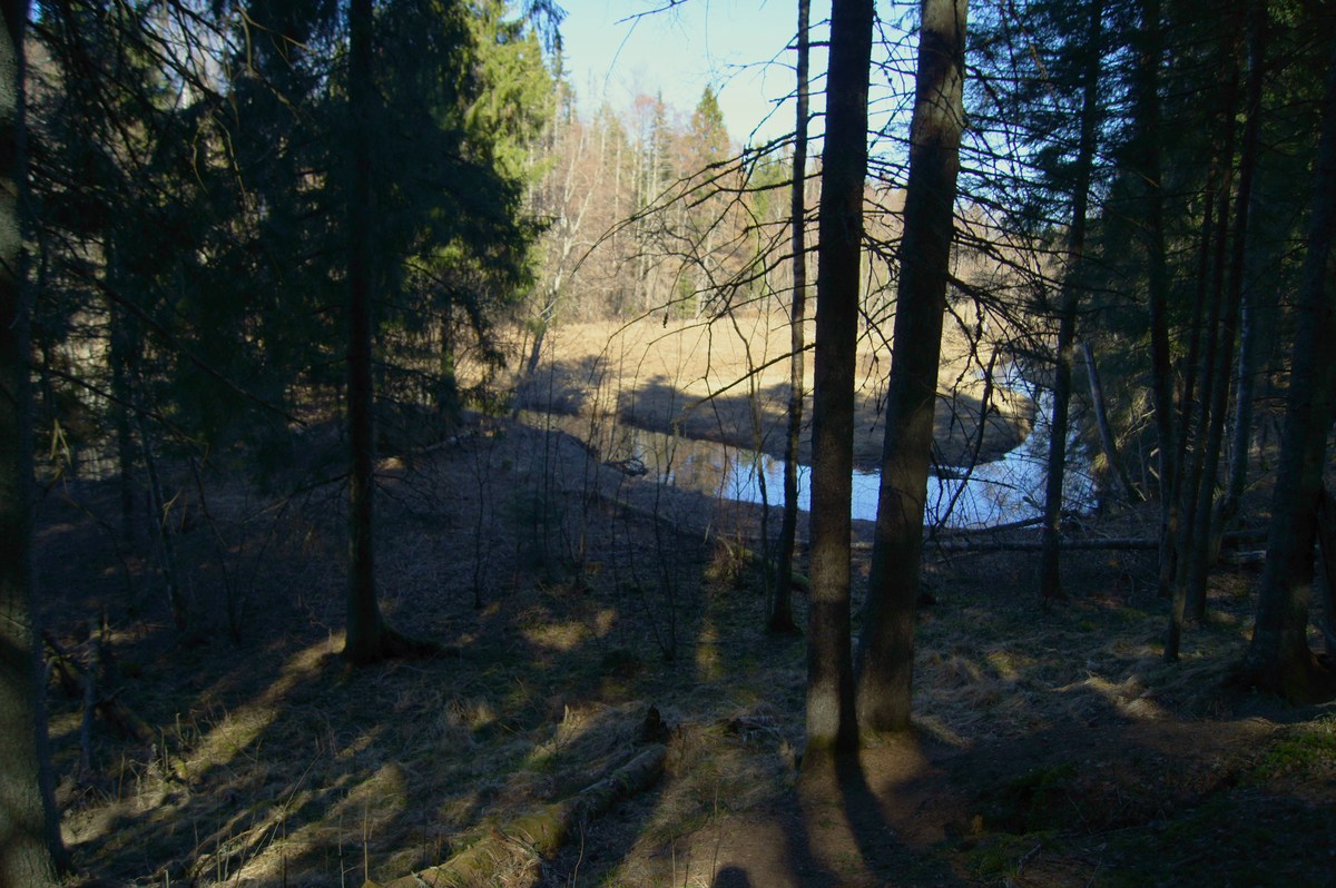  Место для костра Metsavenna. 