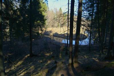 Место для костра Metsavenna. Metsavenna lõkkekoht.