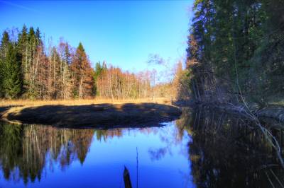 Место для костра Metsavenna. Metsavenna lõkkekoht.
