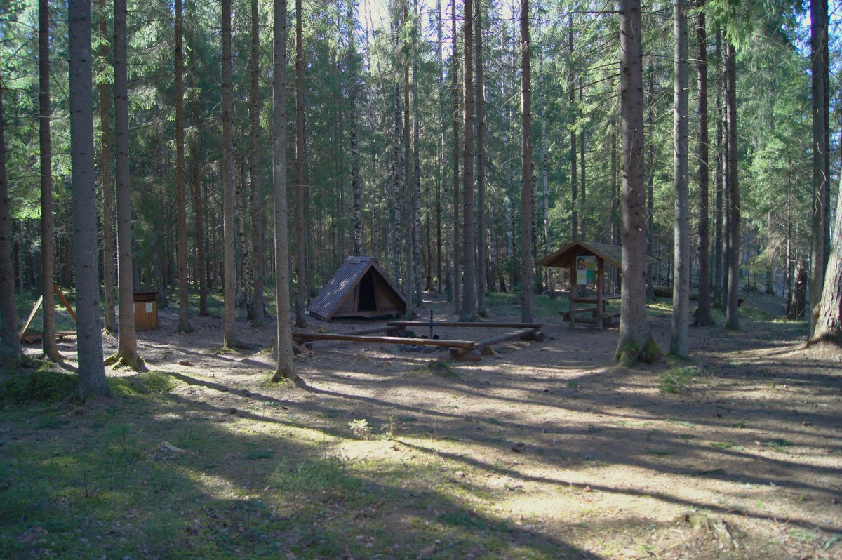  Место для костра Metsavenna. 