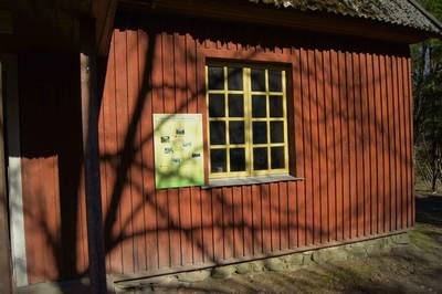 Пикниковое место saeveski metsaonn