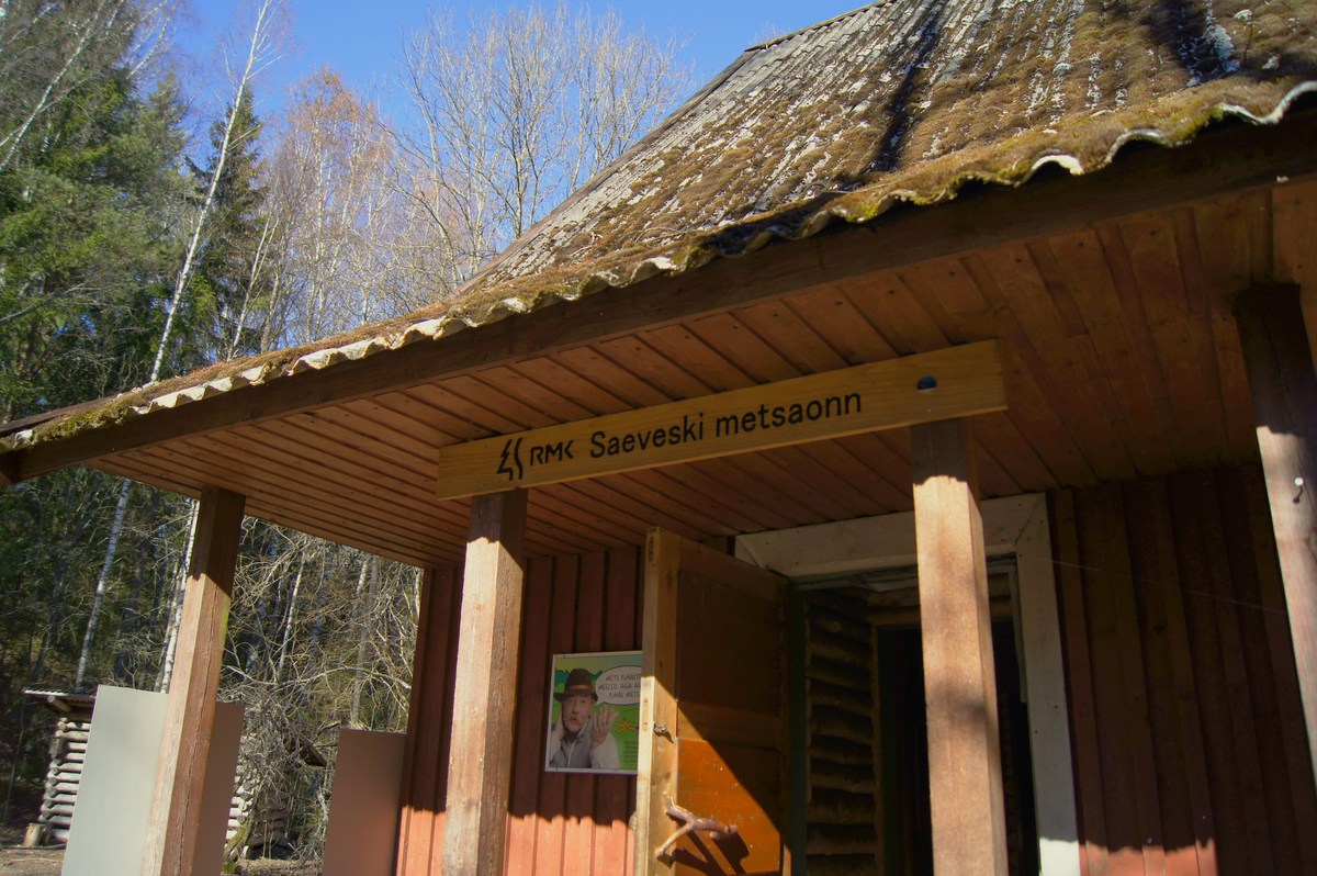 Пикниковое место saeveski metsaonn. 