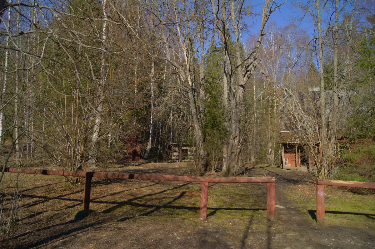  Пикниковое место saeveski metsaonn. 