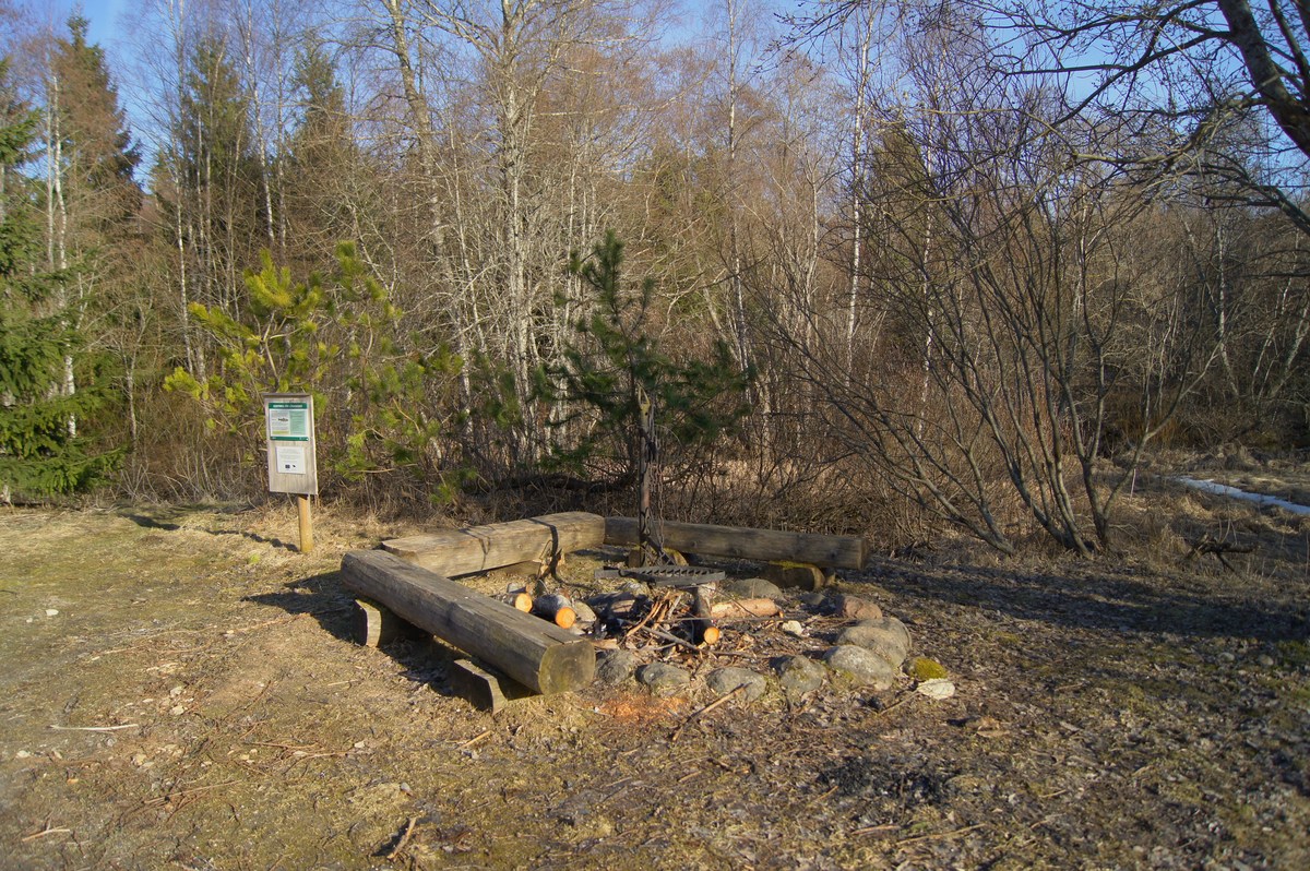  Пикниковое место Oostriku jõe lõkkekoht. 