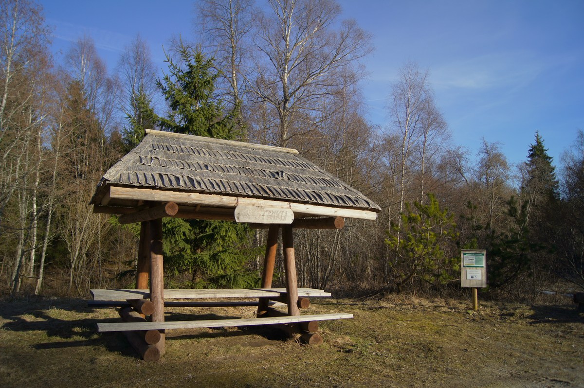  Пикниковое место Oostriku jõe lõkkekoht. 