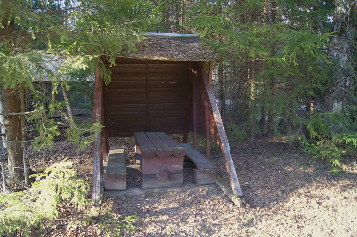  Пикниковое место Võlingi lõkkekoht.