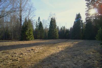 Пикниковое место Võlingi lõkkekoht