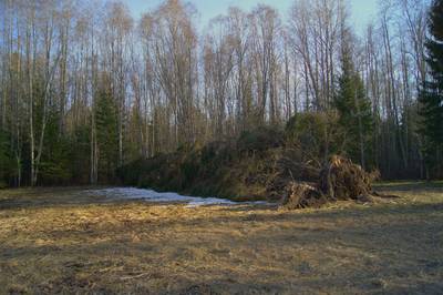 Пикниковое место Võlingi lõkkekoht