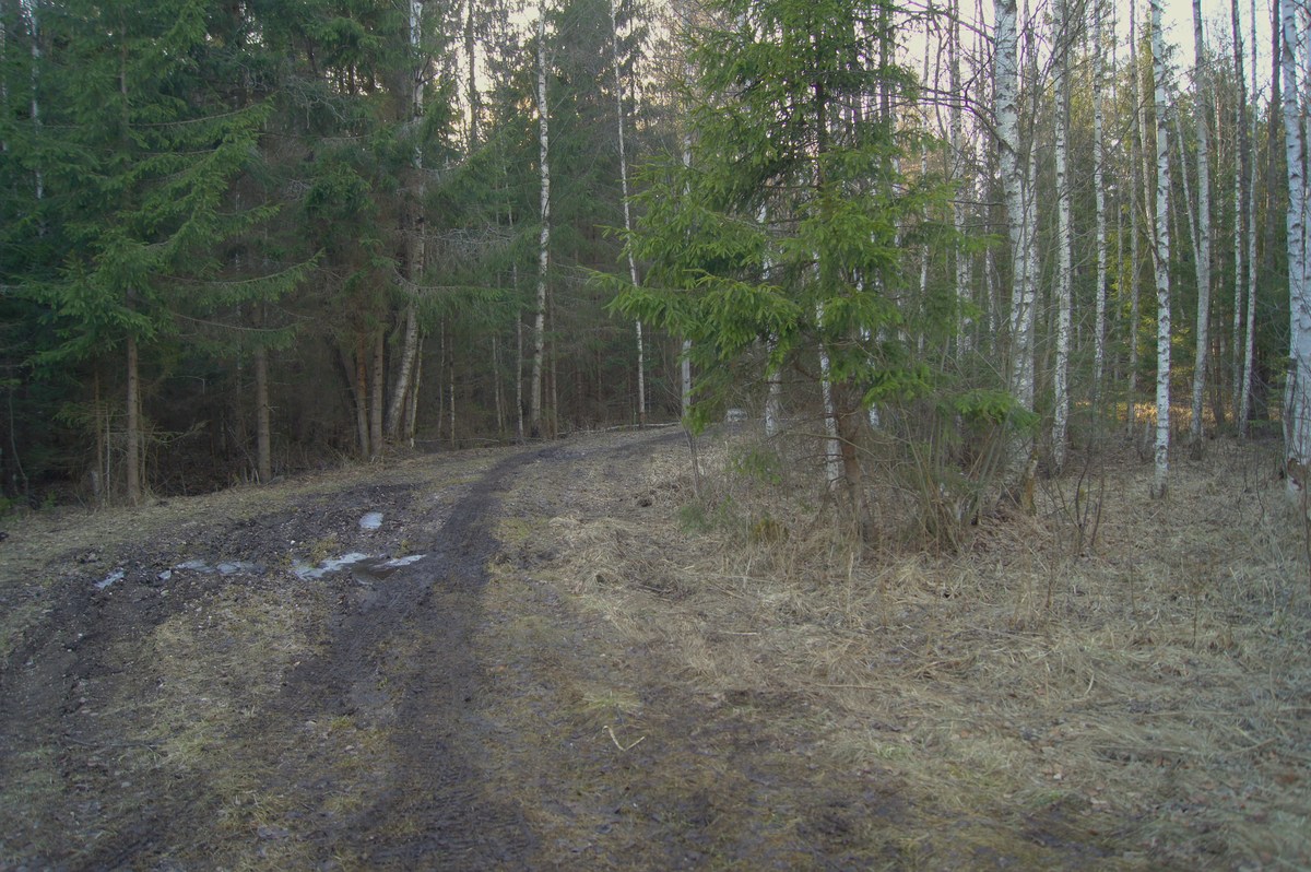  Пикниковое место kirikumäe lõkkekoht. 