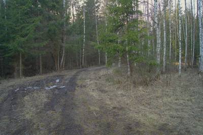 Пикниковое место kirikumäe lõkkekoht