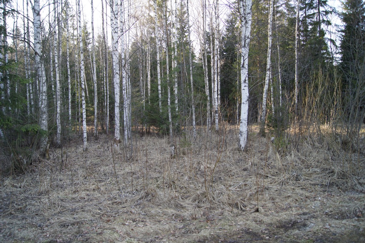  Пикниковое место kirikumäe lõkkekoht. 