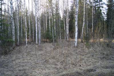 Пикниковое место kirikumäe lõkkekoht