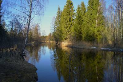 Пикниковое место kirikumäe lõkkekoht