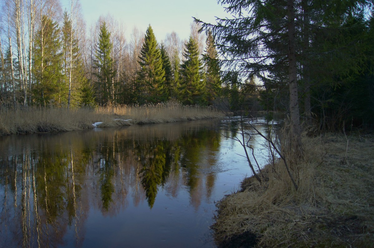 Река. Пикниковое место kirikumäe lõkkekoht. 