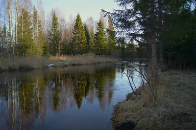Пикниковое место kirikumäe lõkkekoht
