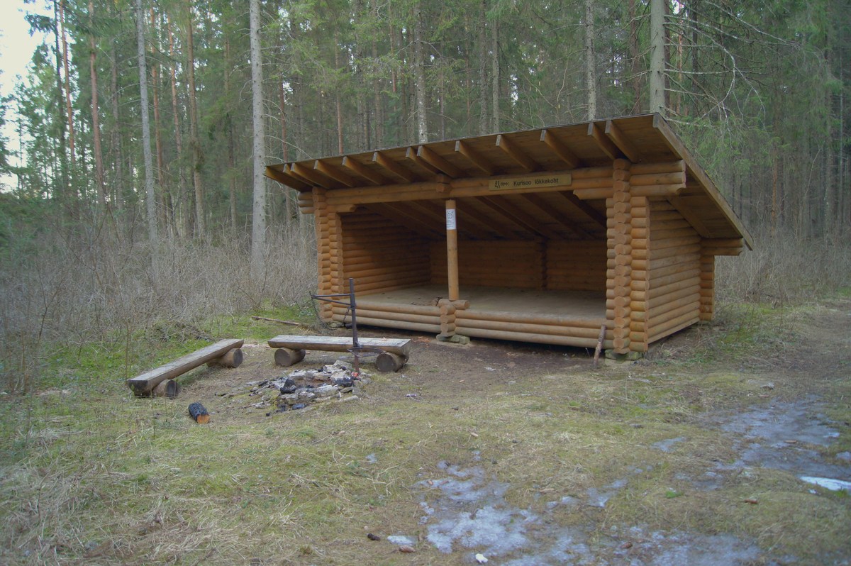  Пикниковое место Kurisoo lõkkekoht.