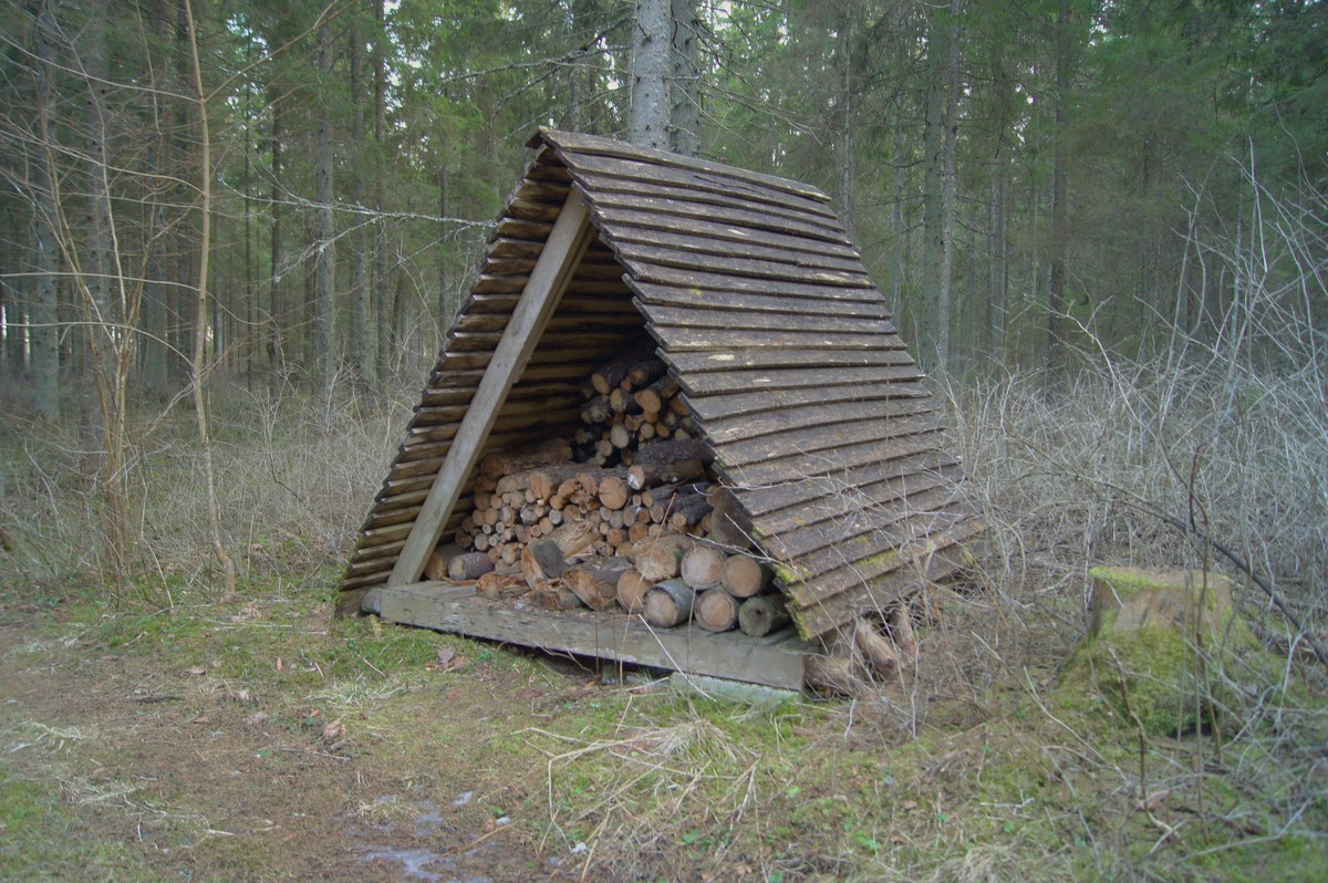 Пикниковое место Kurisoo lõkkekoht.