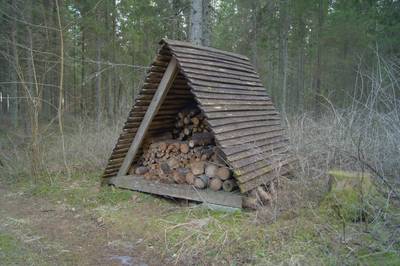 Пикниковое место Kurisoo lõkkekoht