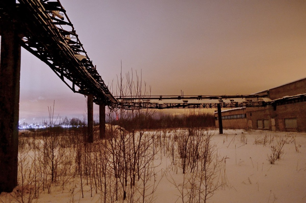  Фотографии от pixelzz. 