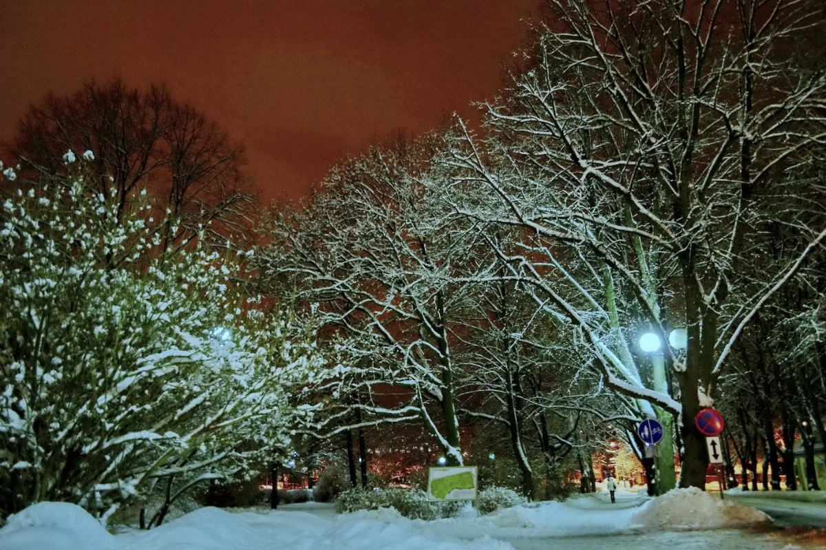  Фотографии от pixelzz. 