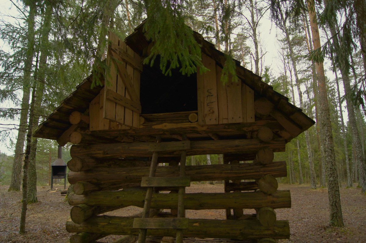  Пикниковое место Matsimäe karjääri lõkkekoht.