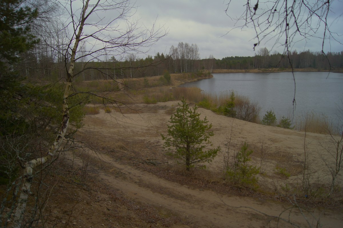  Пикниковое место Matsimäe karjääri lõkkekoht.