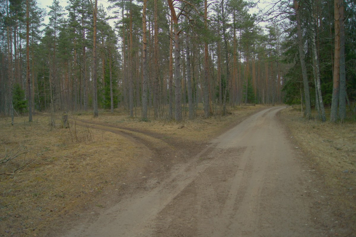  Пикниковое место napu lõkkekoht.