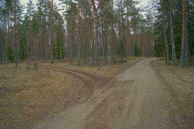 Пикниковое место napu lõkkekoht.