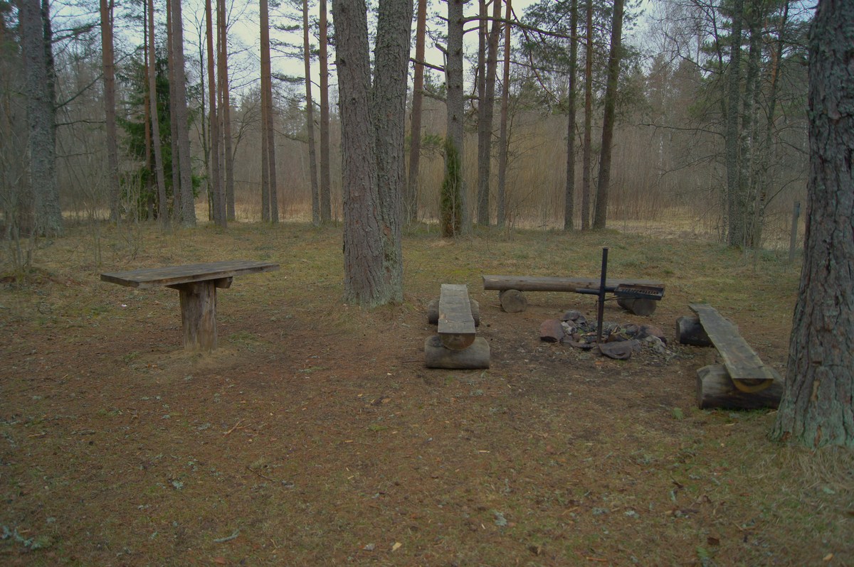  Пикниковое место napu lõkkekoht.