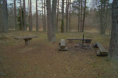 Пикниковое место napu lõkkekoht.