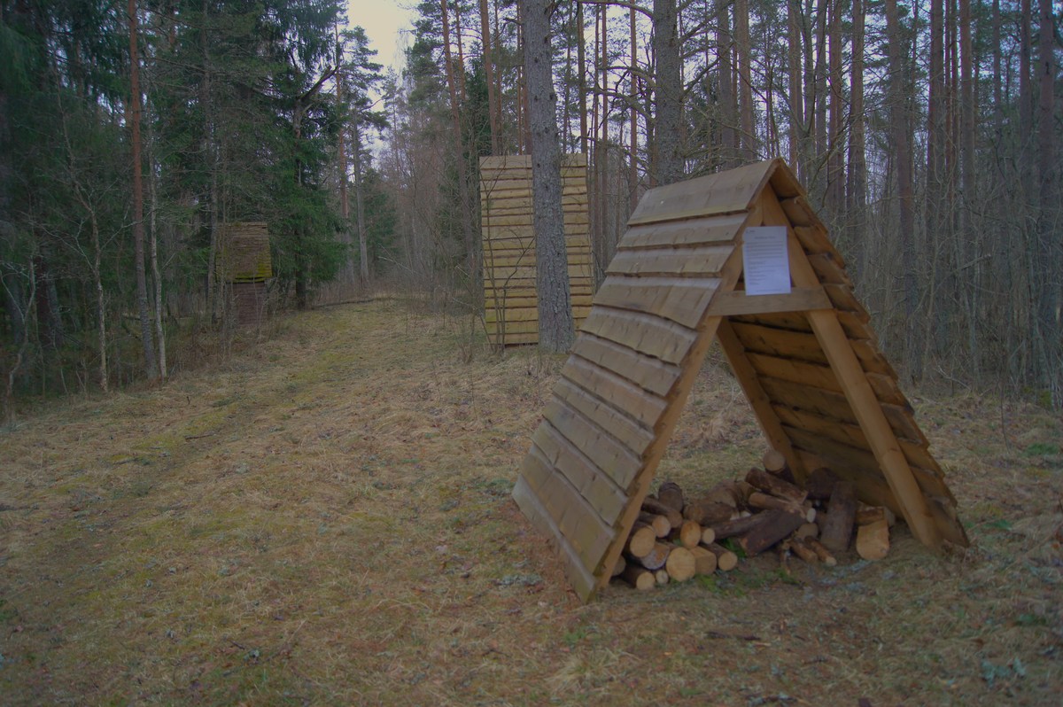  Пикниковое место napu lõkkekoht.