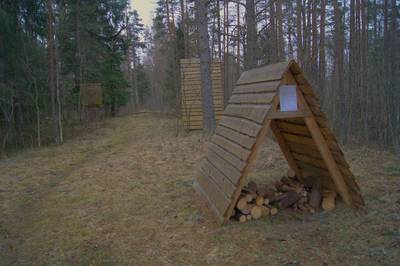 Пикниковое место napu lõkkekoht.