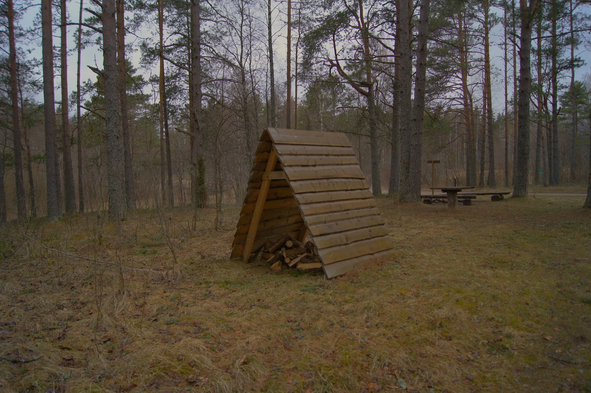  Пикниковое место napu lõkkekoht.