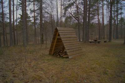 Пикниковое место napu lõkkekoht.