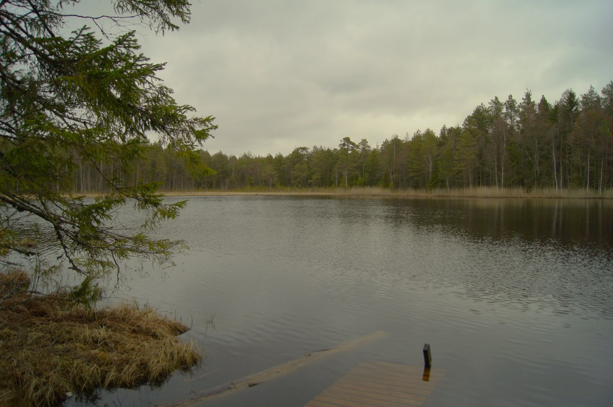 Озеро. Место для костра Ноку, начало.