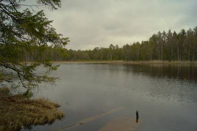 Место для костра Ноку, начало