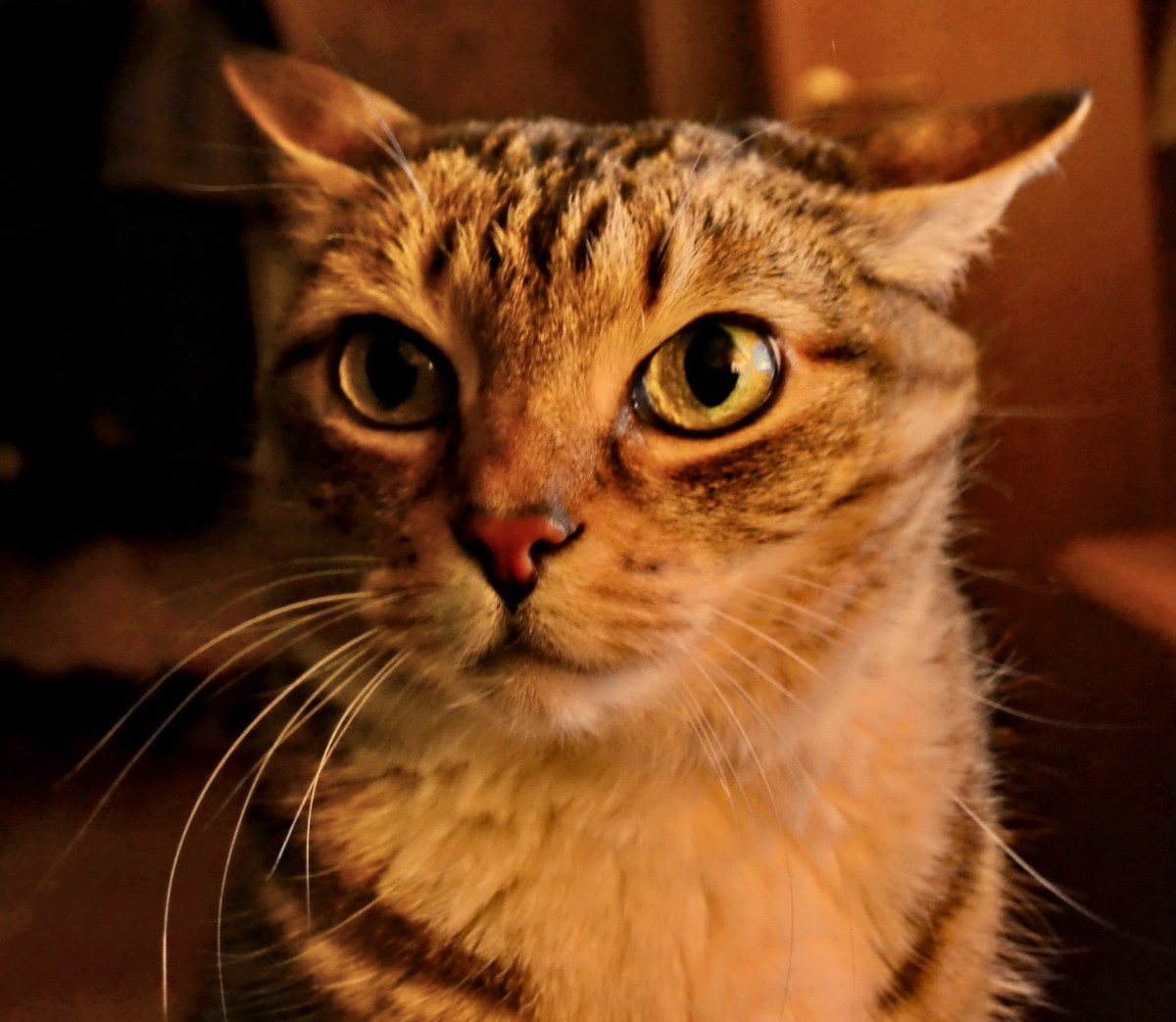  Фотографии от pixelzz. 