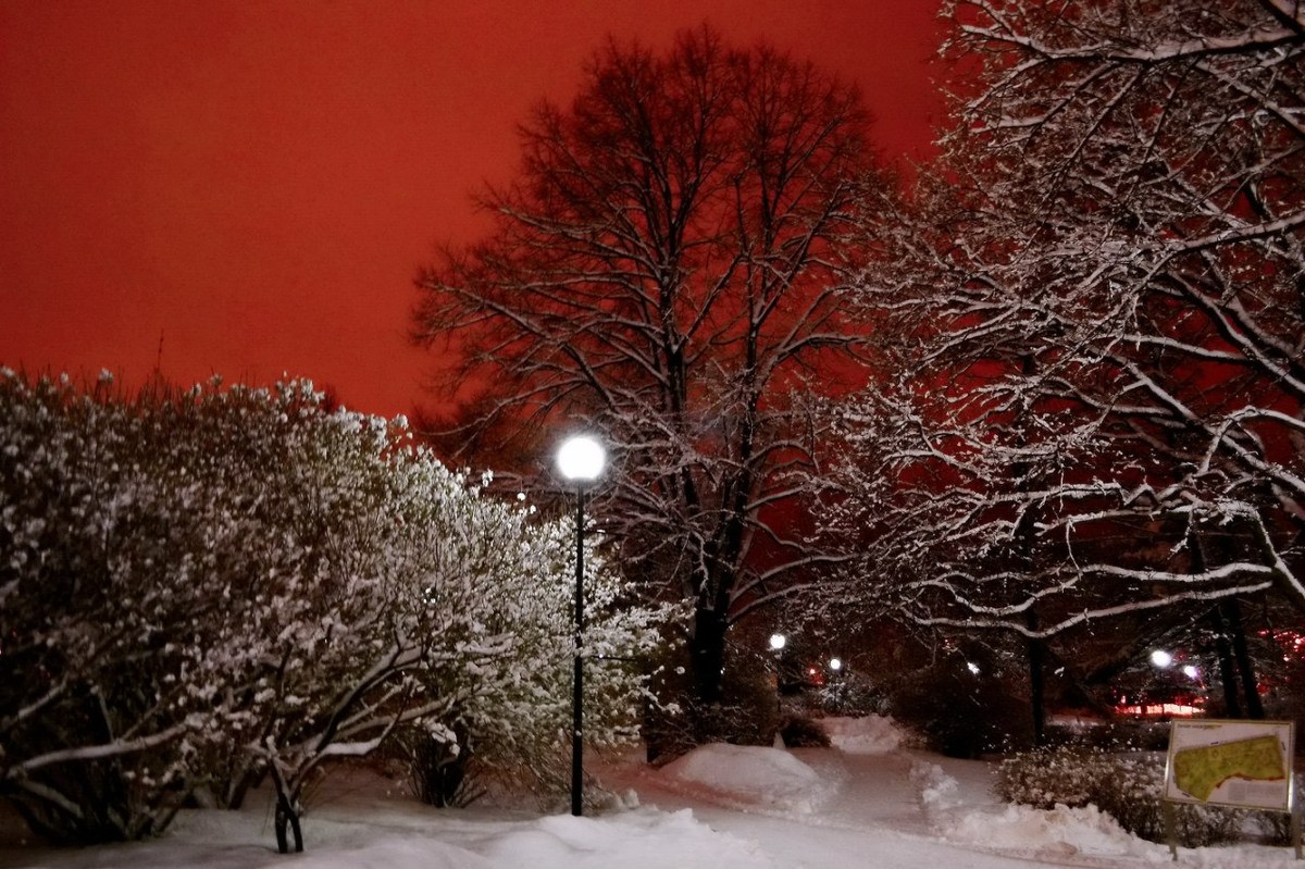  Фотографии от pixelzz. 